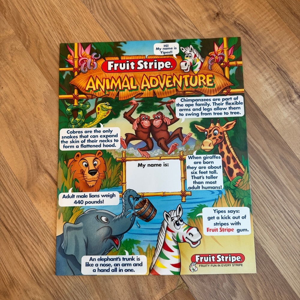 Lot Of 3 Vintage 1998 Fruit Stripe Gum Animal Adventure School Folders 2 sided